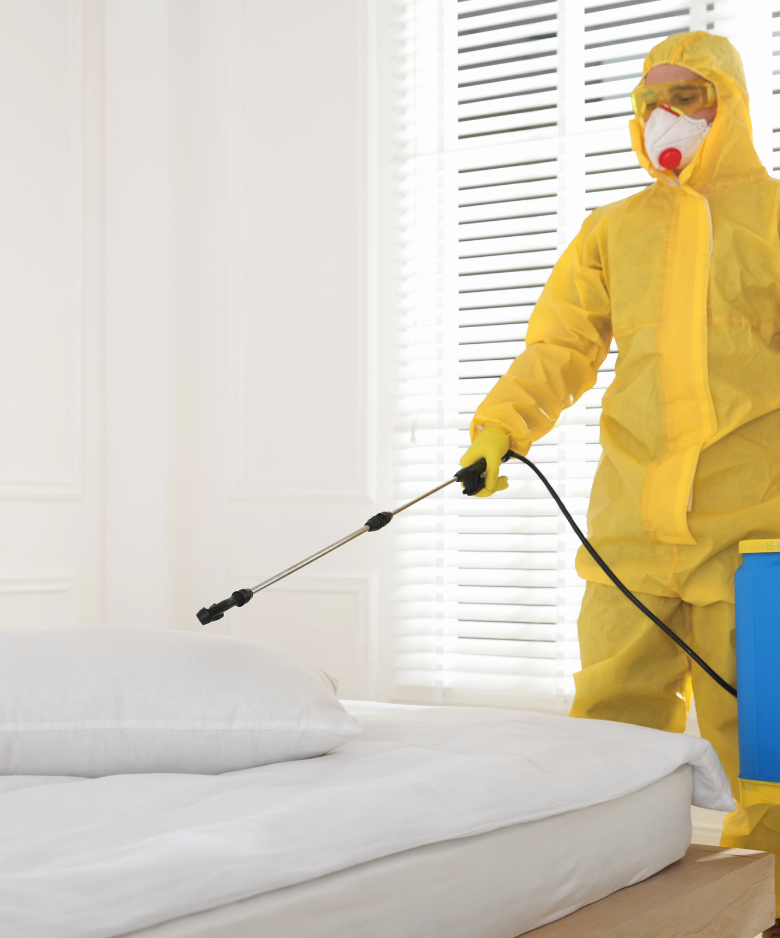Professional Pest Control Team in Montacute